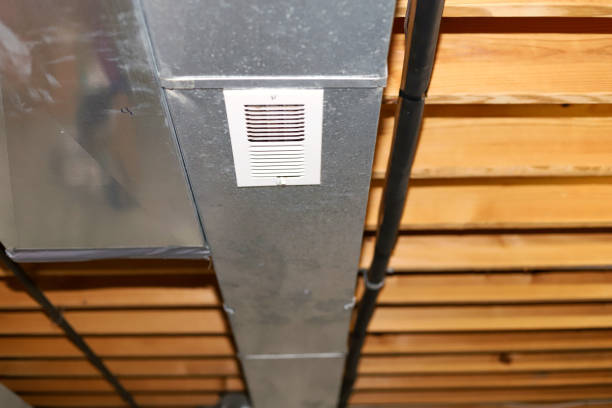 Best Air Vent Cleaning Services  in Tea, SD